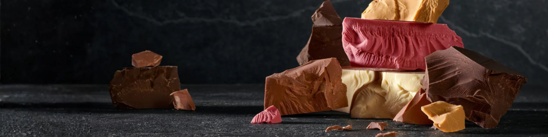 Barry Callebaut small banner