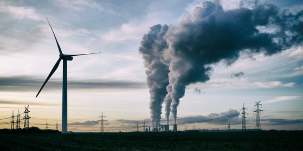 Grid CARBON FOOTPRINT (ORGANISATIENIVEAU)