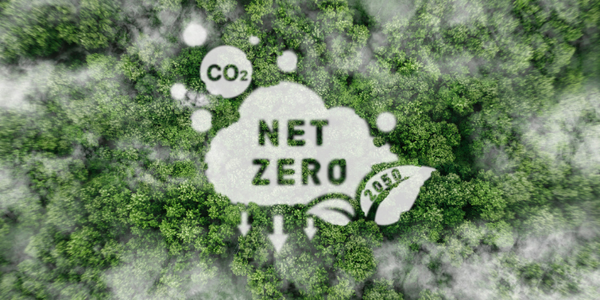GridBlock Carbon strategy en reductie.png