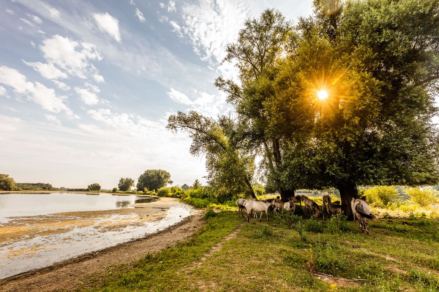 Lanaken zon duurzaamheid