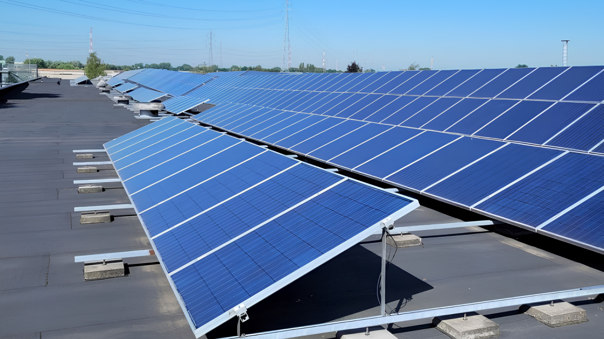 niko case zonnepanelen dichtbij op foto