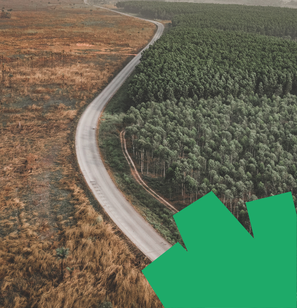 EU Deforestation Regulation (EUDR)