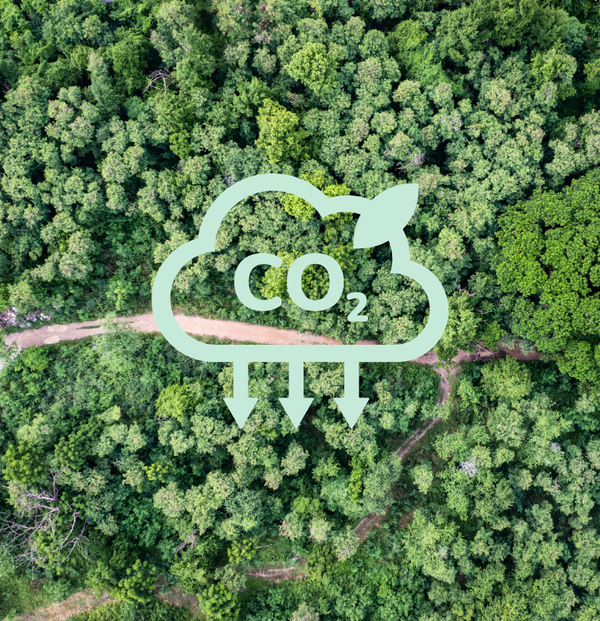 Effectieve decarbonisatiestrategie