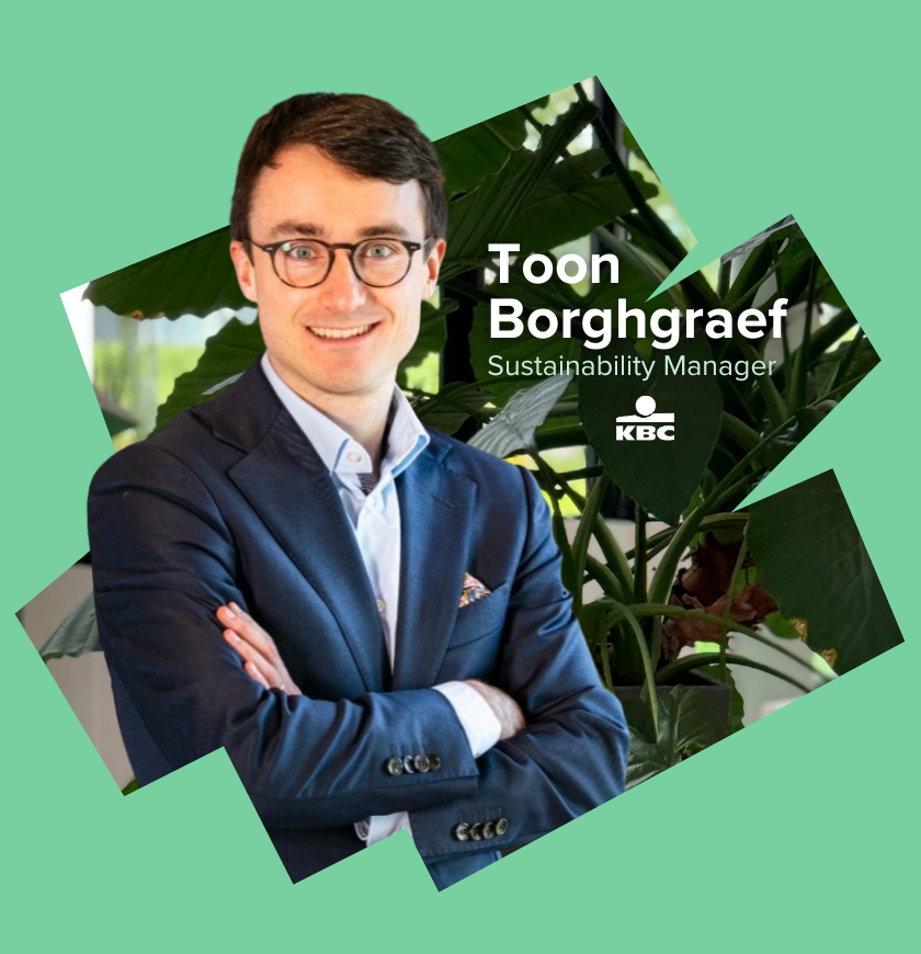 Toon Borghgraef