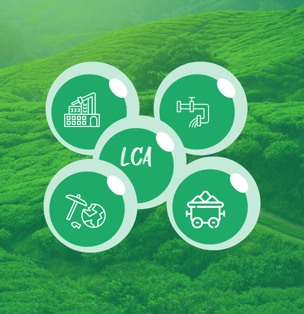 Life Cycle Analysis (LCA)